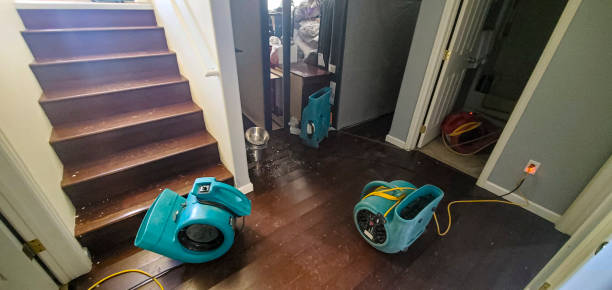 Best Residential water damage restoration  in Sangaree, SC