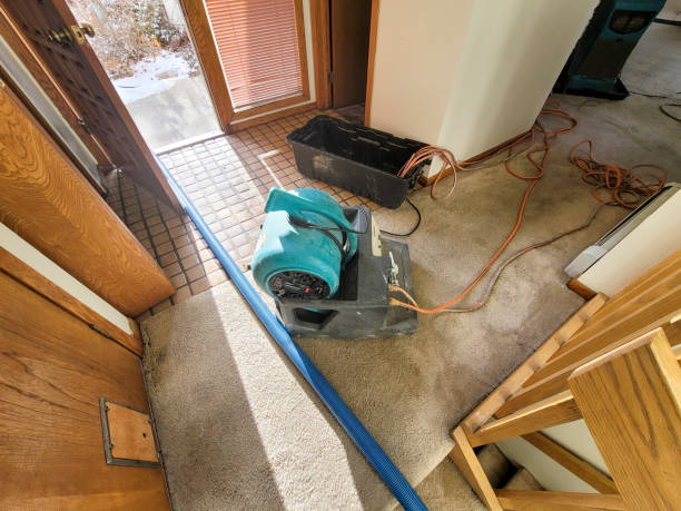 Best Commercial water damage restoration  in Sangaree, SC