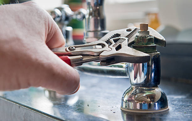 Best Sewage cleanup and water damage restoration  in Sangaree, SC