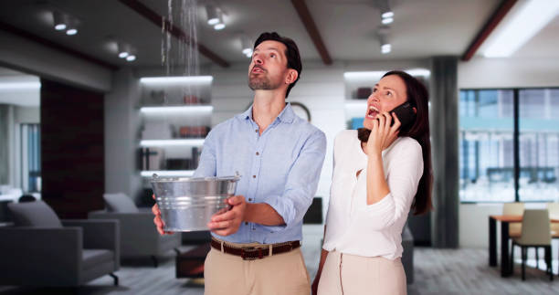 Best Professional water damage repair  in Sangaree, SC
